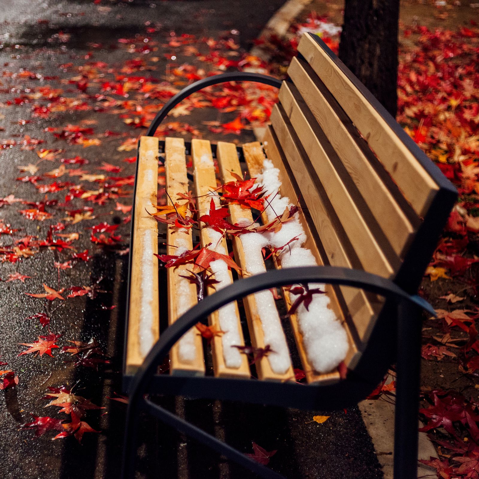 5 Subtle Signs of Seasonal Depression to Watch Out For